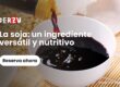 la-soya-ingrediente-versatil-nutritivo